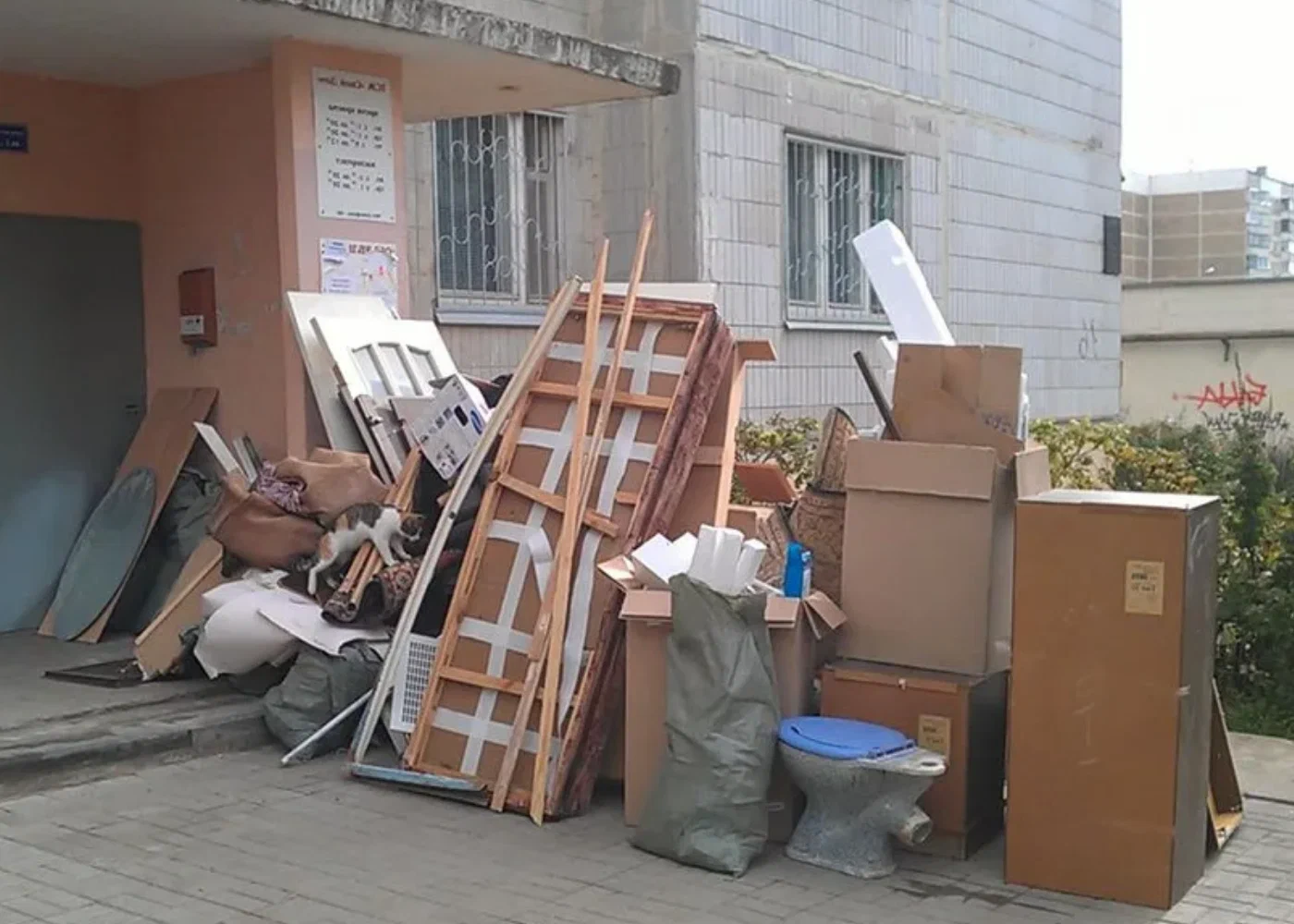 Профессиональный вывоз мусора из квартиры в Клинцах в октябре