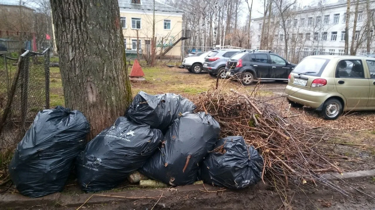 Вывоз мусора после субботника в Клинцах от ПроМусор – уборка и утилизация отходов от 2443 руб