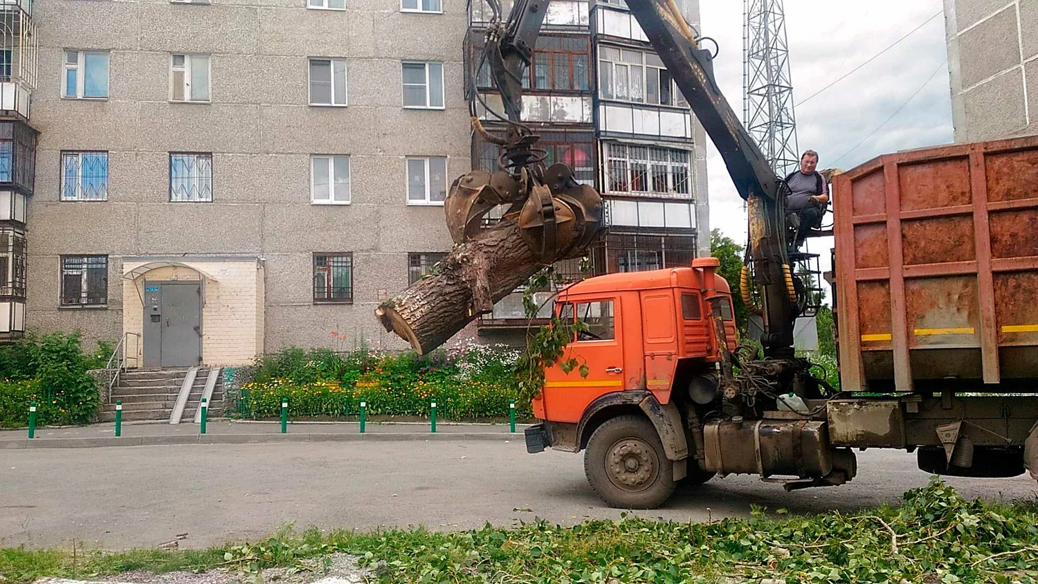 Вывоз спиленных веток и деревьев в Клинцах от ПроМусор: порубочные остатки, утилизация, цена от 3015 руб