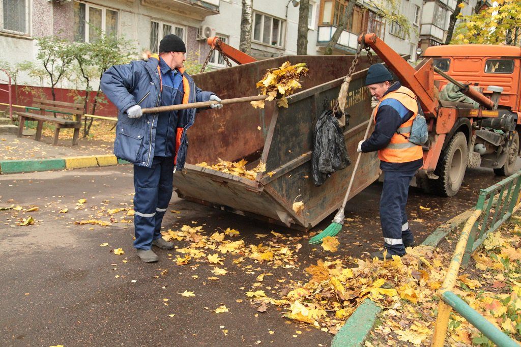 Вывоз опавшей листвы и растительного мусора в Клинцах от ПроМусор – цена от 4678 руб., быстрая уборка и утилизация